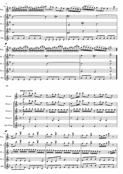 Vivaldi - Piccolo Concerto RV 443 - Second and third movements - version for Flute Quintet or Flute