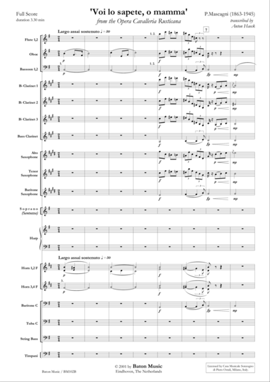 Voi lo sapete, o mamma Concert Band scores gallery preview page 2