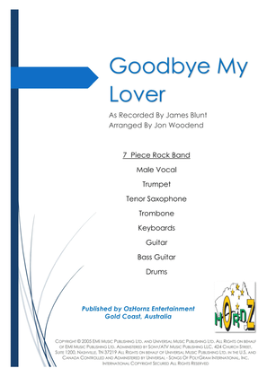 Book cover for Goodbye My Lover