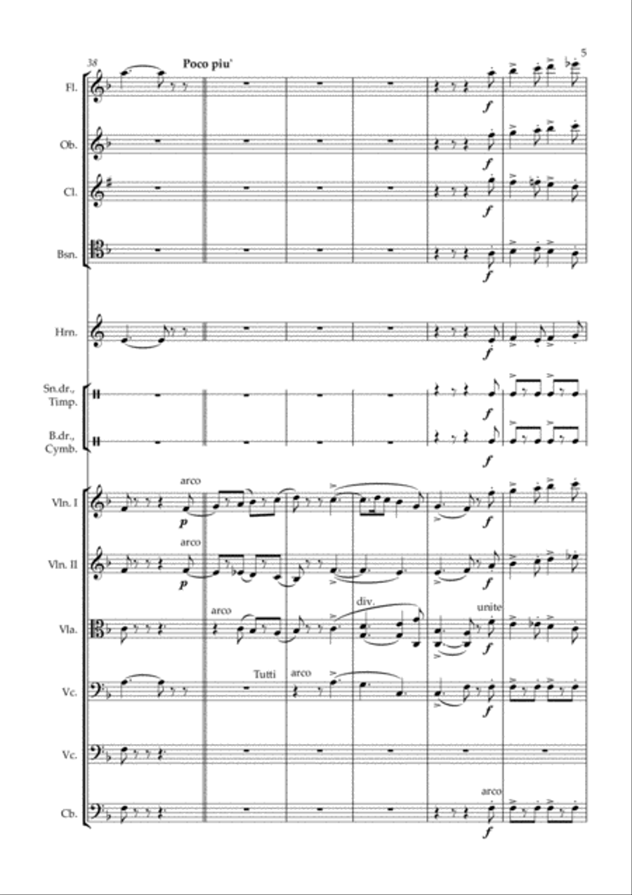 Don Pasquale - Sinfonia - arr. chamber orchestra Chamber Orchestra scores gallery preview page 5