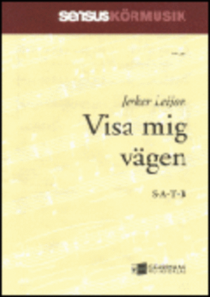 Book cover for Visa mig vagen