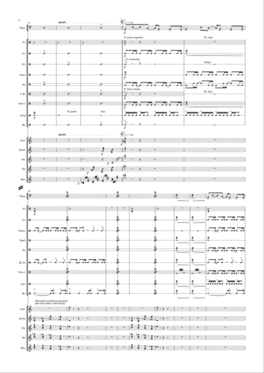 Estudo armorial n° 6, op.22 - for percussion with 15 players Percussion Ensemble scores gallery preview page 4