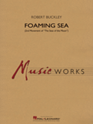 Book cover for Foaming Sea