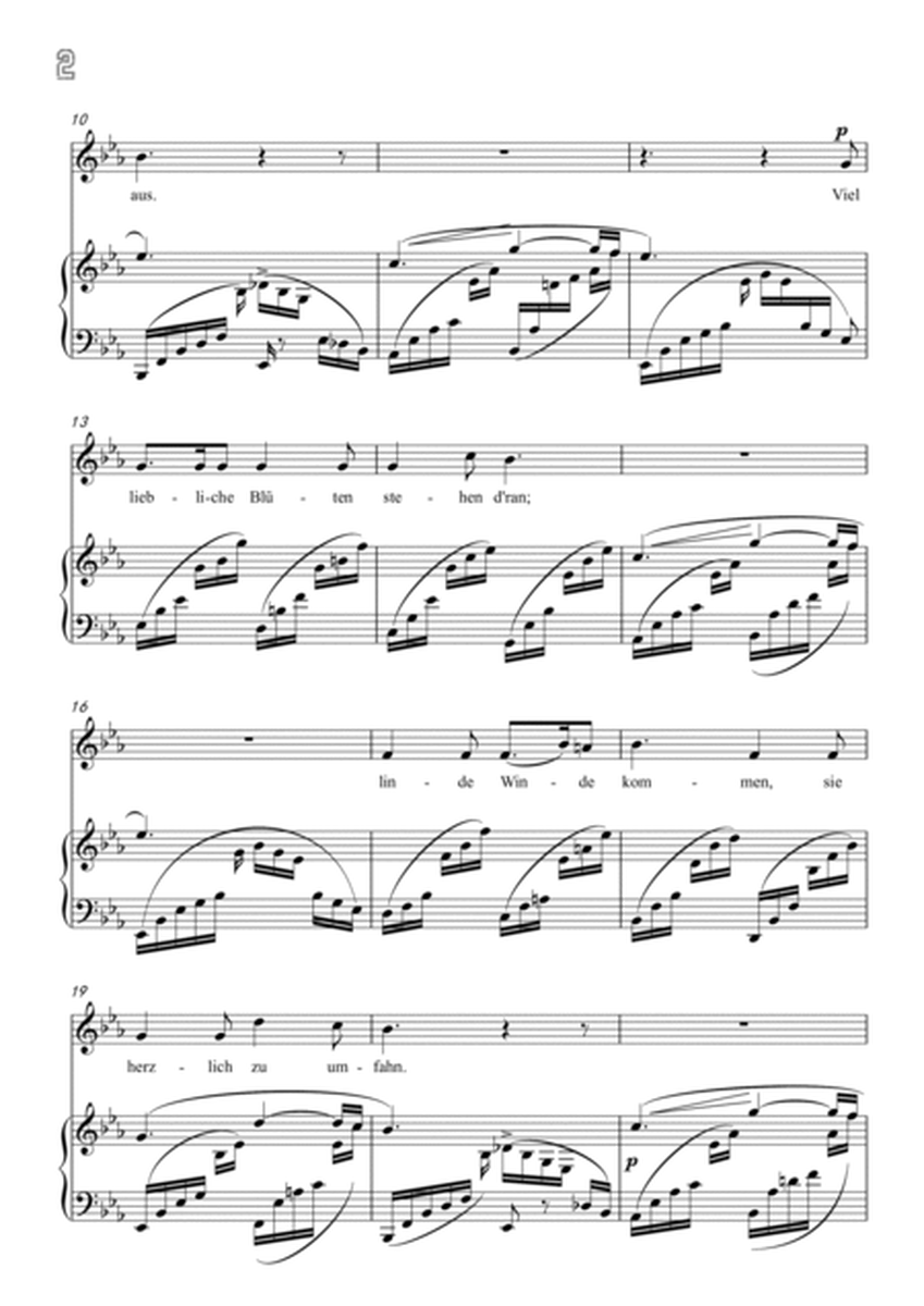Schumann-Der Nussbaum in E♭ Major