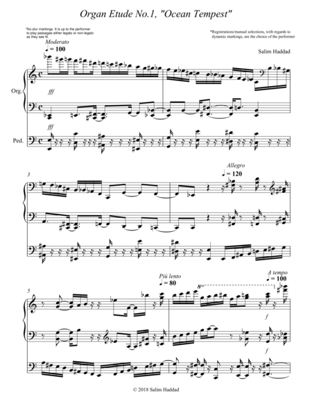 Organ Etude No.1, "Ocean Tempest" Op.4 image number null