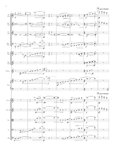 Symphony for Chamber Orchestra (full score) image number null