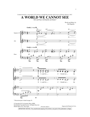 A World We Cannot See