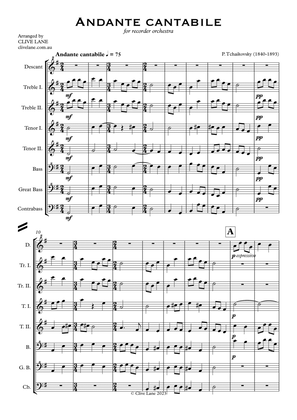 Andante Cantabile (for recorder orchestra)
