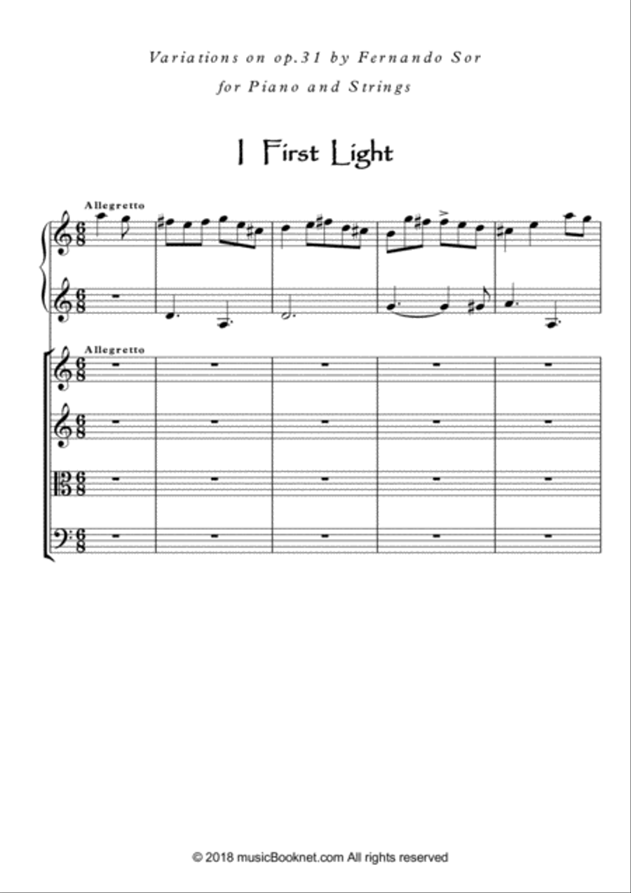 Piano and strings ensemble based on F.Sor op. 31 image number null