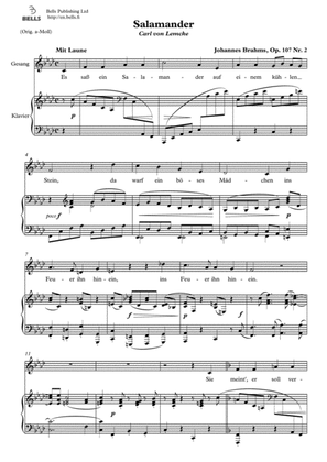 Book cover for Salamander, Op. 107 No. 2 (F minor)