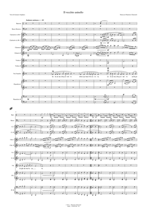 Il vecchio asinello (School orchestra version)
