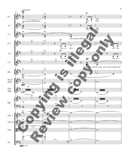 Never more will the wind (Chamber Orchestra Score) image number null