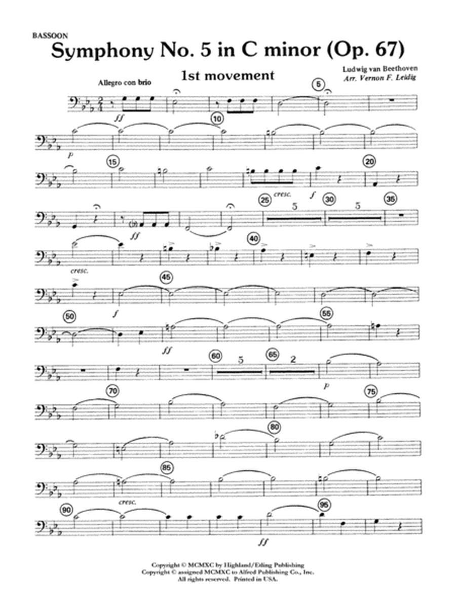 Beethoven's Symphony No. 5, 1st Movement: Bassoon