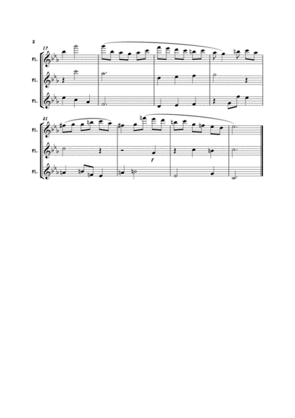 St Matthews Passion - Flute Trio image number null