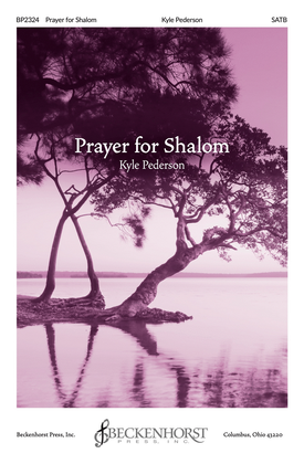 Book cover for Prayer for Shalom