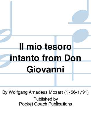 Il mio tesoro intanto from Don Giovanni