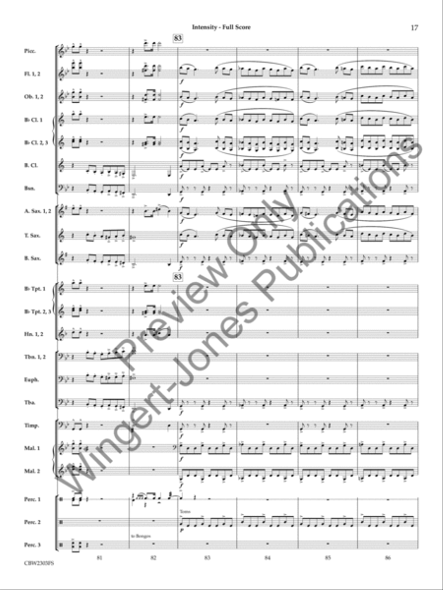 Intensity Concert Band scores gallery preview page 18