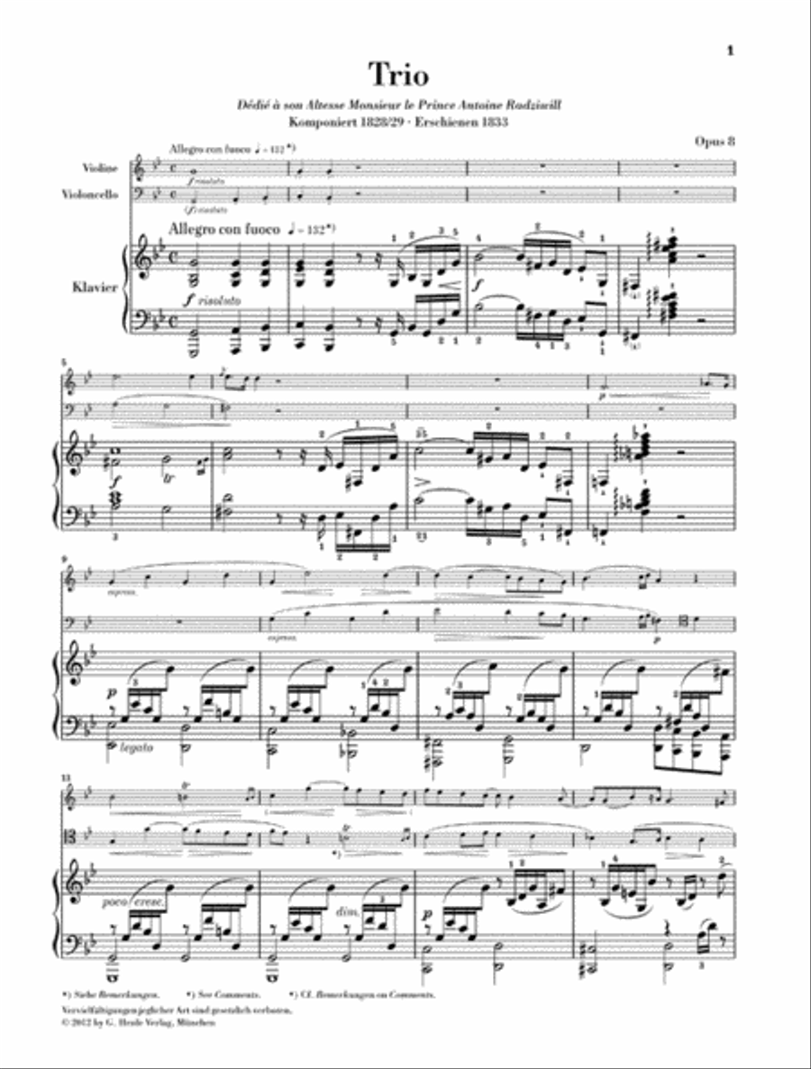 Frédéric Chopin – Piano Trio in G minor, Op. 8 Piano Trio scores gallery preview page 2