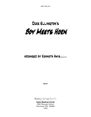 Book cover for Boy Meets Horn