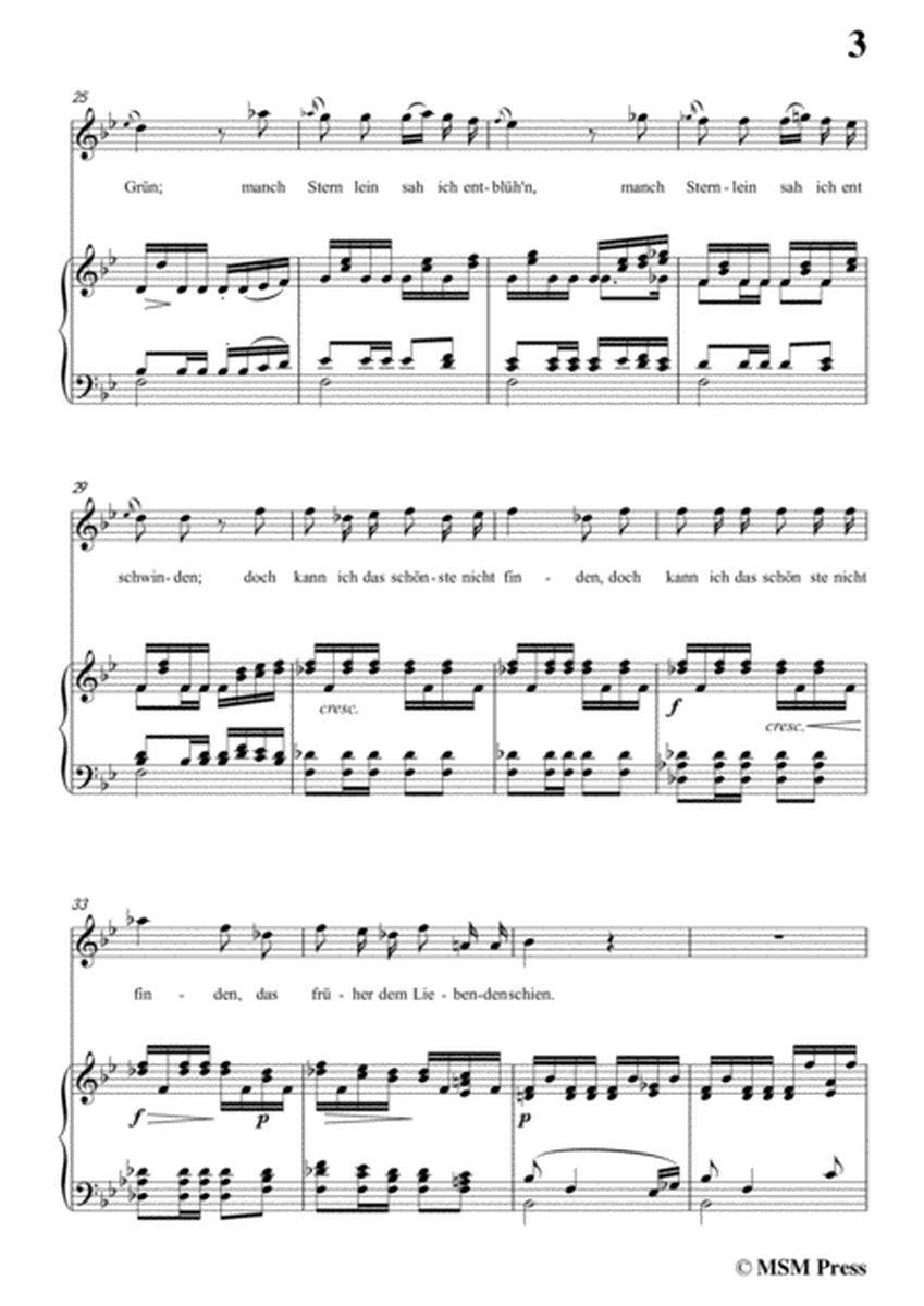 Schubert-Der Liebliche Stern,in B flat Major,for Voice&Piano image number null