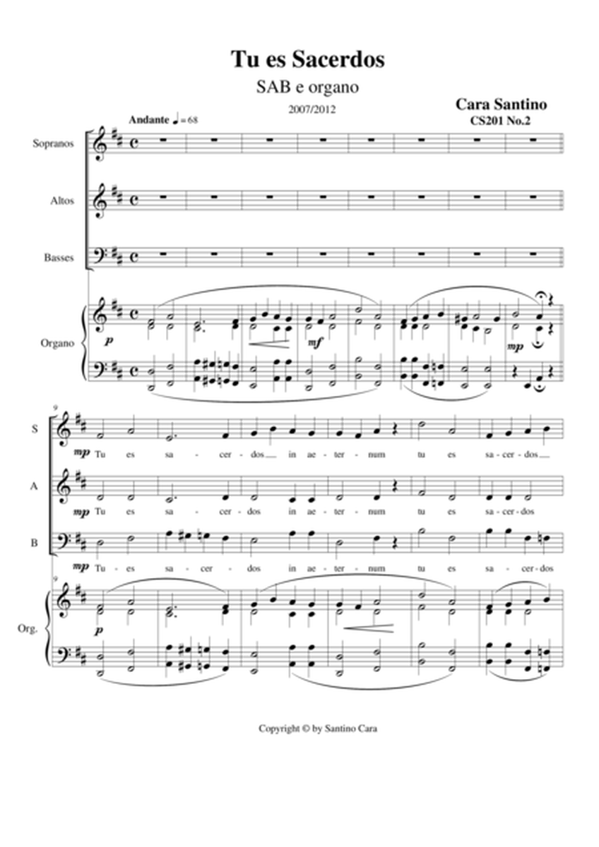 Tu es Sacerdos - Motet for Choir SAB and organ image number null