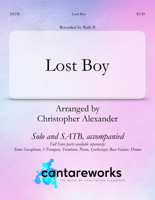 Book cover for Lost Boy