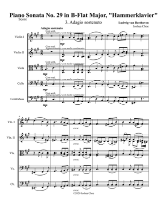 Hammerklavier Sonata, Movement 3
