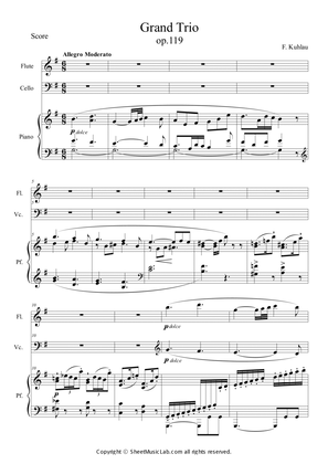 Book cover for Trio for Piano and 2 Flutes, Op.119 Movement I Allegro moderato (G major)