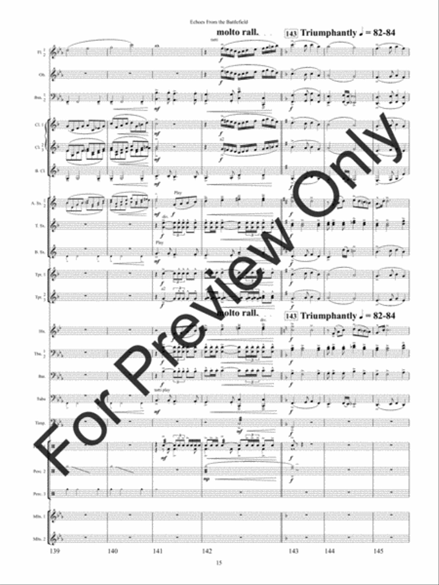 Echoes from the Battlefield (Score) Concert Band scores gallery preview page 18