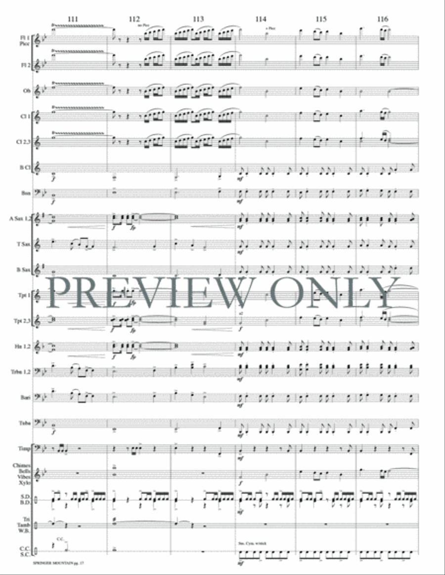 Springer Mountain Concert Band scores gallery preview page 20