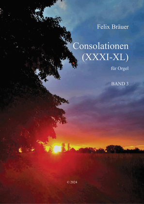 Book cover for Consolationen XXXI-XL