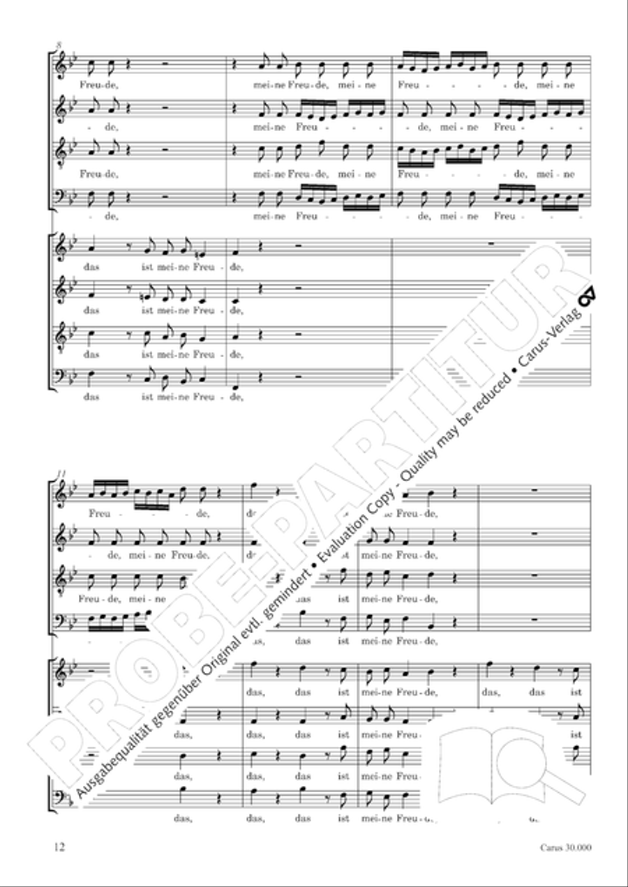 J.L. Bach: The complete motets Choir scores gallery preview page 19