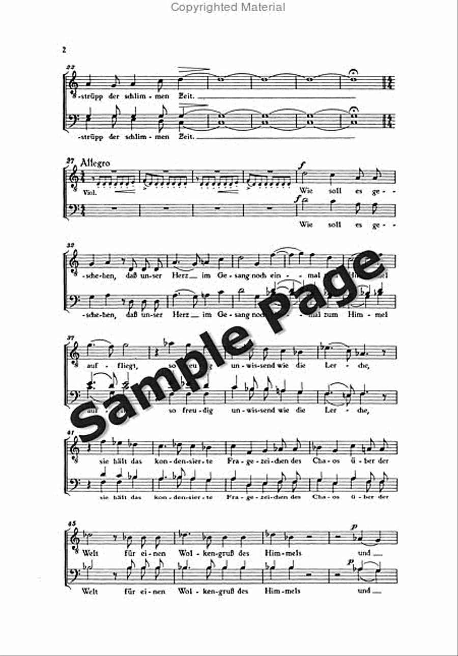 Vom Abenteuer Der Freude Score SSATBB scores gallery preview page 3