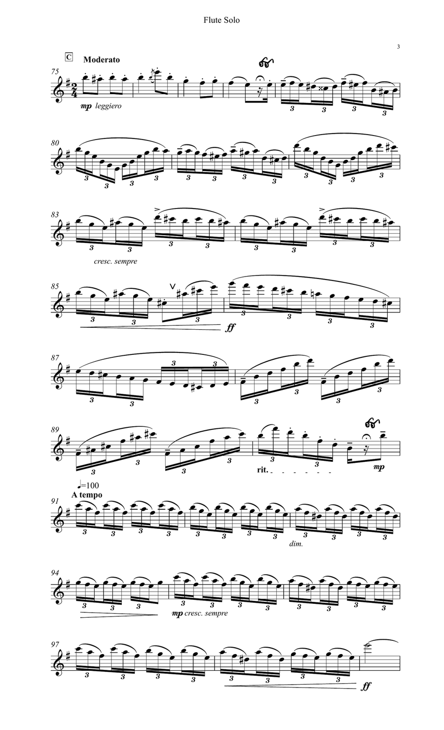 Bizet Carmen Fantasy for Flute Chamber Orchestra scores gallery preview page 4