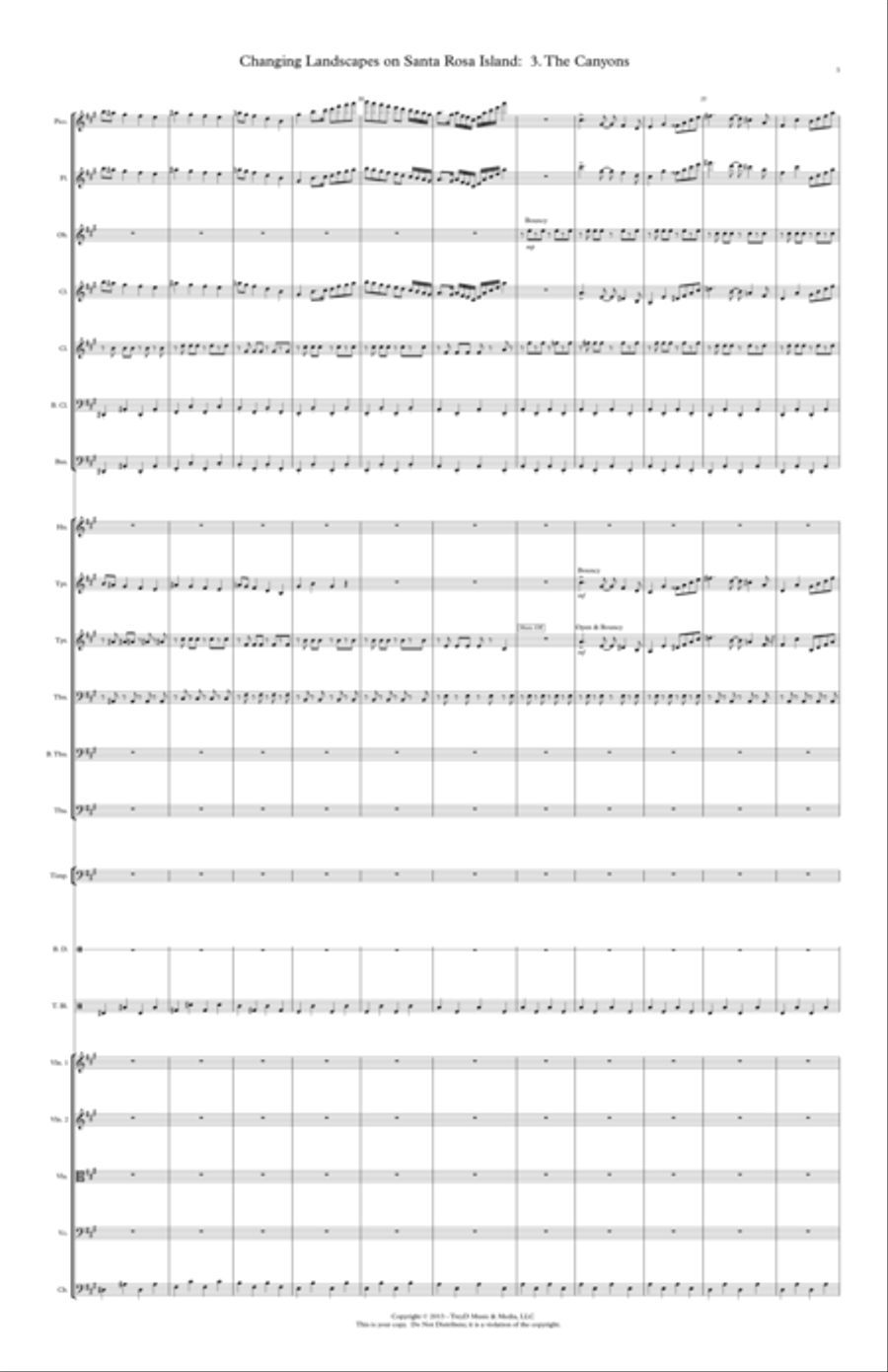 The Canyons and Their Moods Chamber Orchestra scores gallery preview page 3
