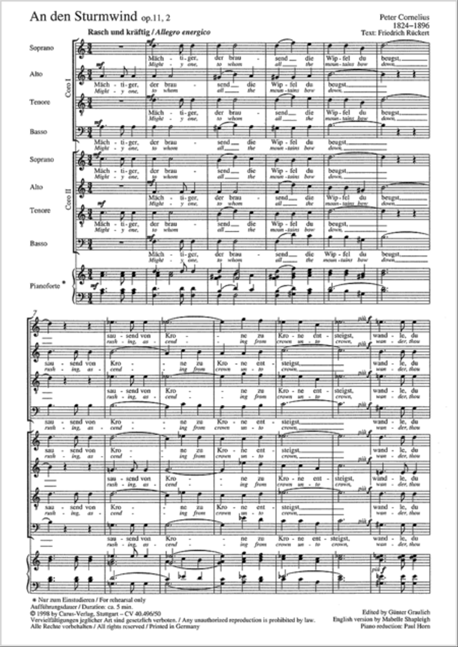 To the stormwind (An den Sturmwind) 4-Part scores gallery preview page 18