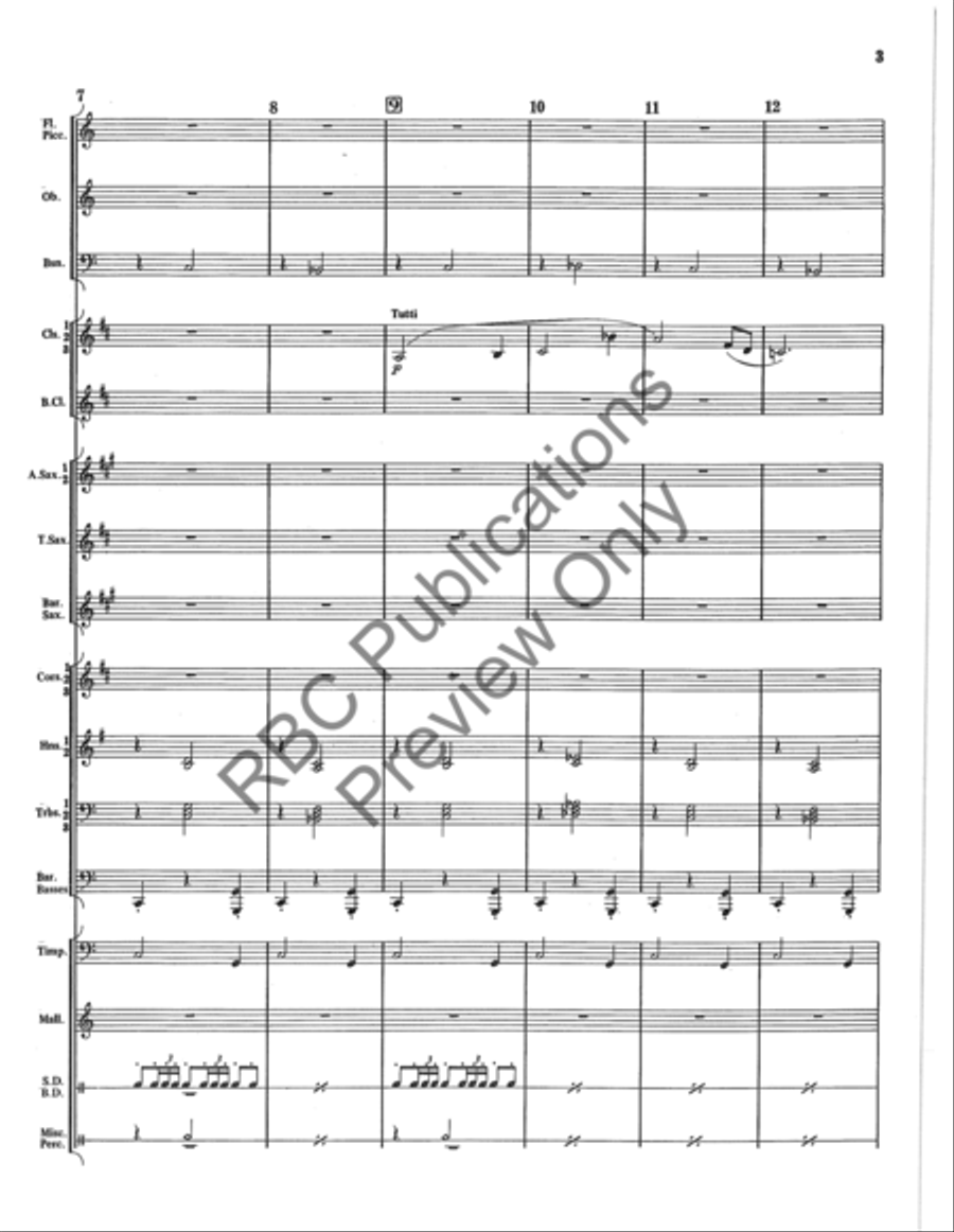 Danza Tambor Bolero Concert Band scores gallery preview page 4