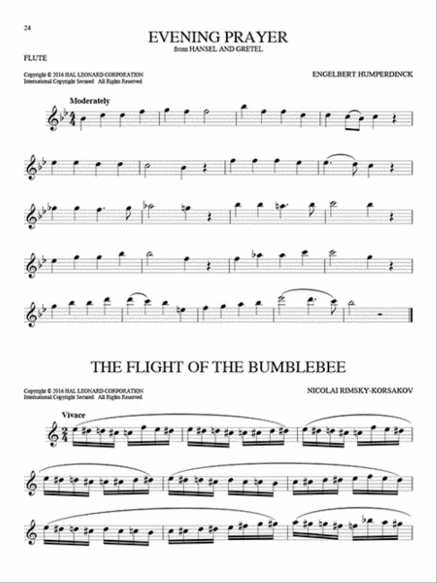 101 Classical Themes for Flute Flute Solo scores gallery preview page 4