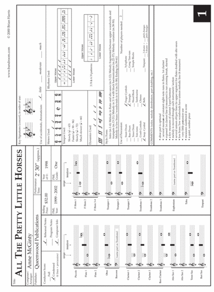 YOUNG BAND MUSIC ANALYSIS FORM & 28 SAMPLES (resource for band directors) image number null