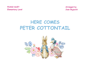 Book cover for Here Comes Peter Cottontail