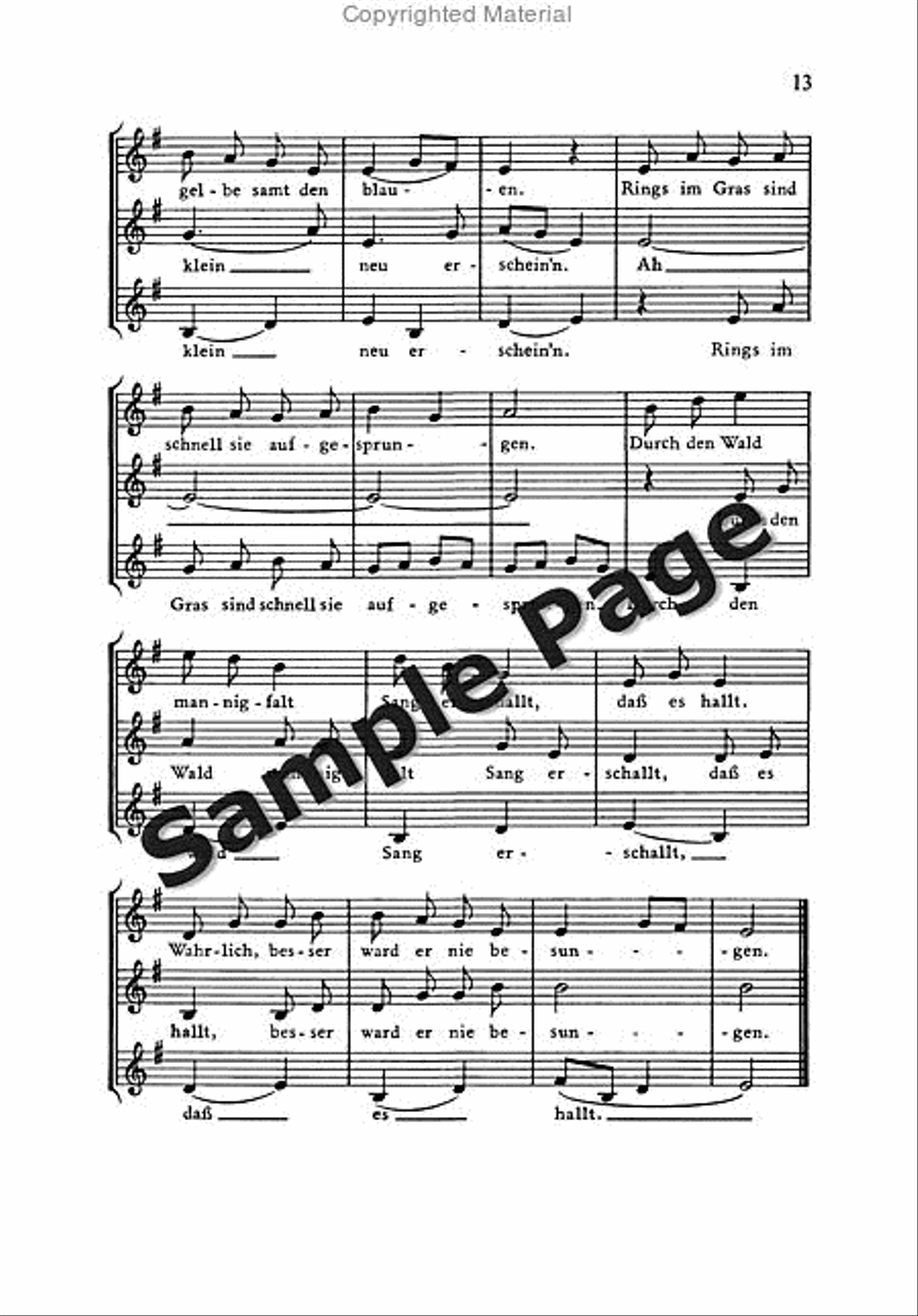Roller Coaster Ride Piano Solo scores gallery preview page 14