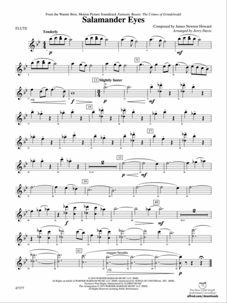 Salamander Eyes: Flute Concert Band scores gallery preview page 1