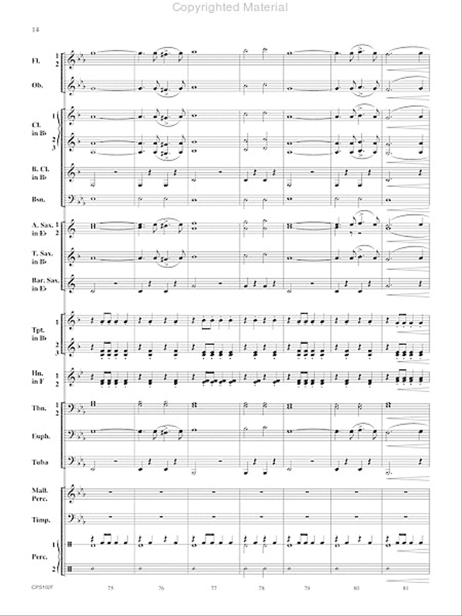 Rifle Regiment Rifle Regiment Concert Band scores gallery preview page 15