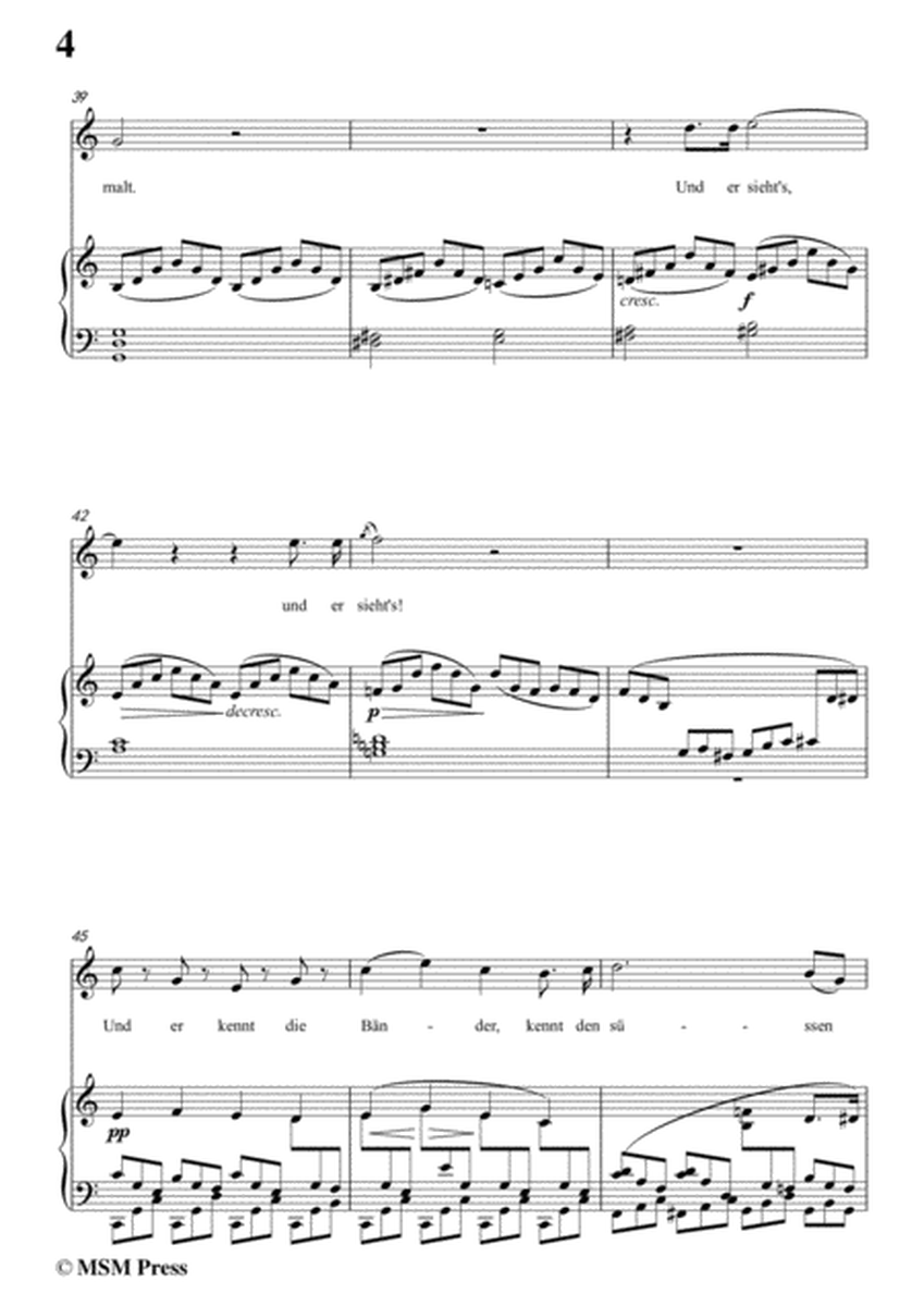Schubert-Wiederschein,in C Major,for Voice&Piano image number null