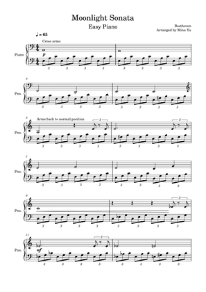 Moonlight Sonata - Beethoven (Easy Piano)