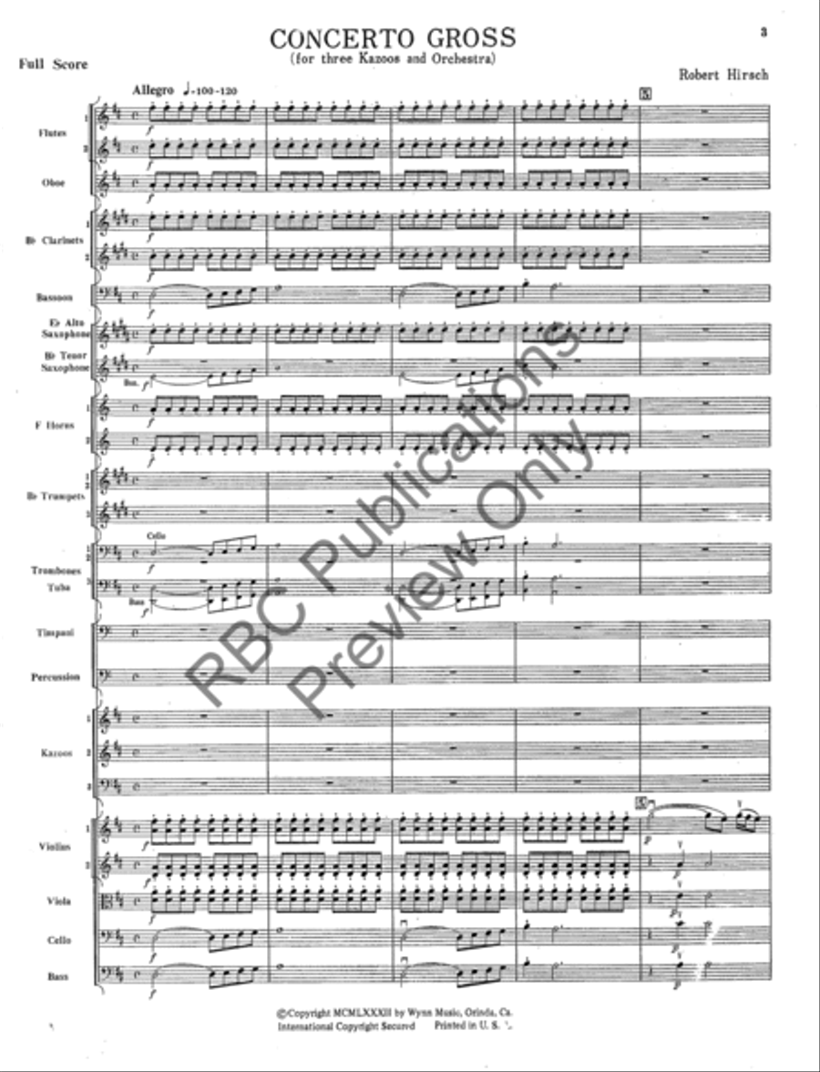 Concerto Gross Orchestra Full Orchestra scores gallery preview page 4