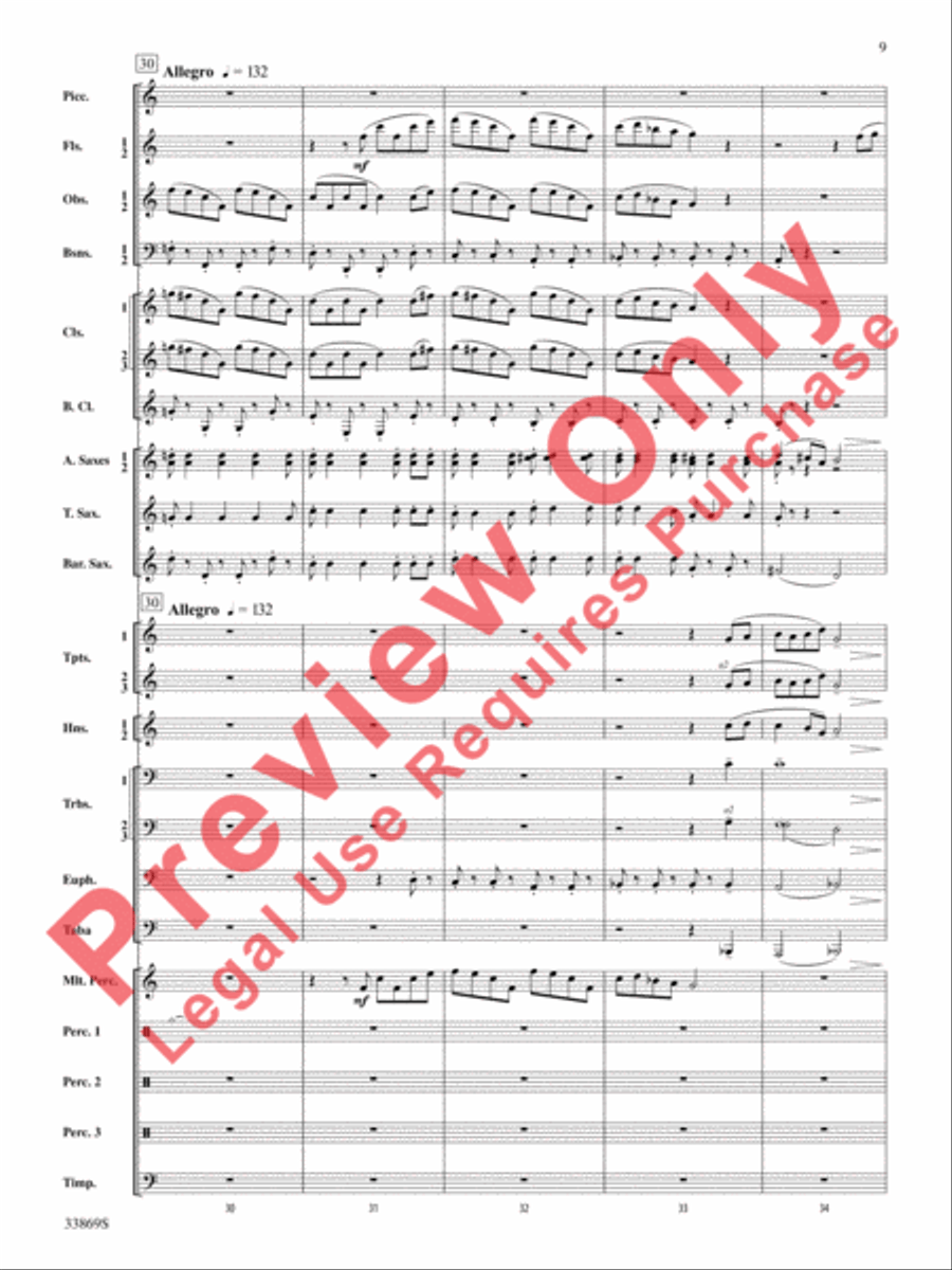 Mt. Everest Mt. Everest Concert Band scores gallery preview page 10