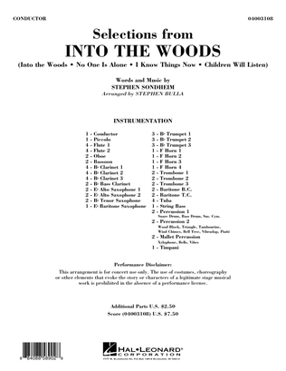Book cover for Selections from Into the Woods - Full Score