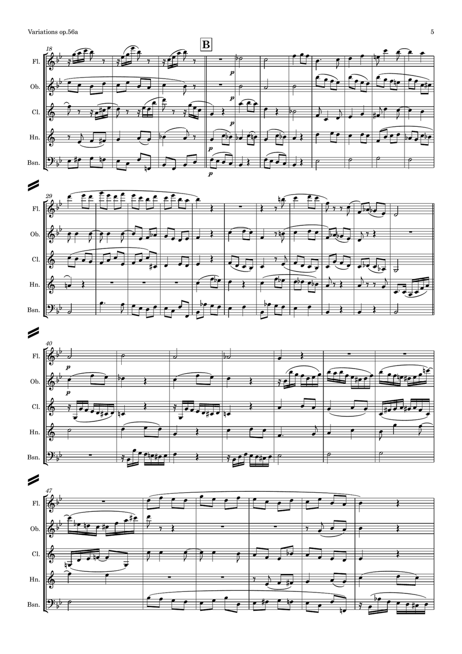 Brahms: Variations on a Theme by Haydn Op.56a (Theme and Variations 1, 2, 3, 4 & 7) - wind quintet Woodwind Quintet scores gallery preview page 6