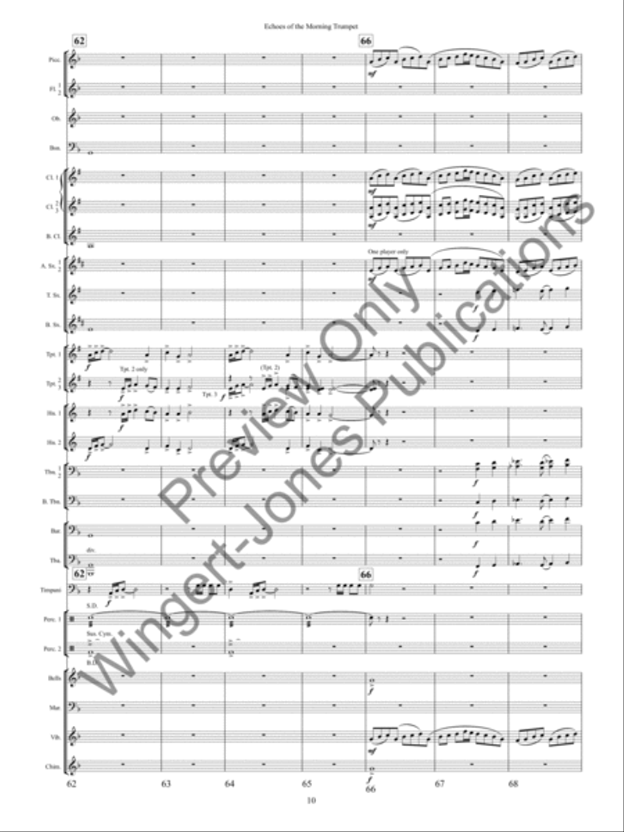 Echoes of the Morning Trumpet Concert Band scores gallery preview page 13